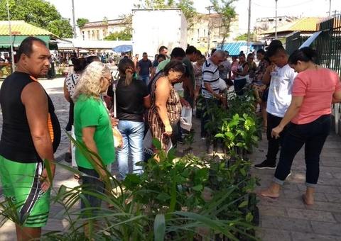 Prefeitura cancela pedágio ambiental que distribuira 600 mudas nesta quarta