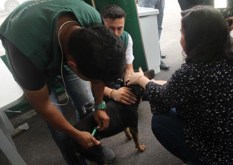 Visita técnica atesta qualidade do serviço de castração em Manaus