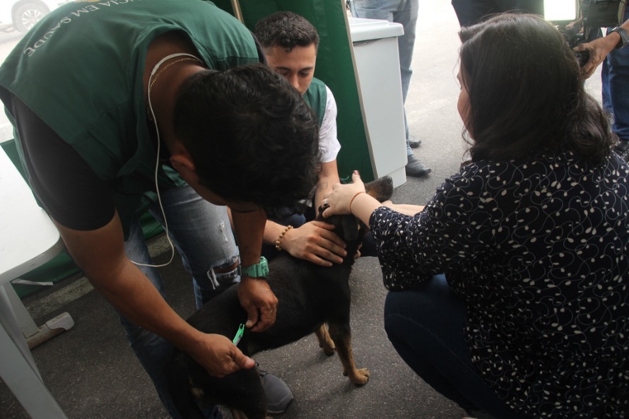 Visita técnica atesta qualidade do serviço de castração em Manaus