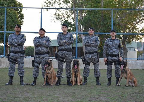Trabalho de cães policiais ajuda a localizar entorpecentes e até pessoas perdidas no Amazonas
