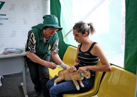 Campanha antirrábica vai imunizar 234 mil animais em Manaus