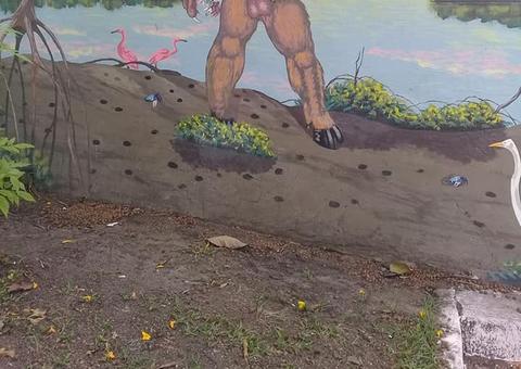 Desenho de lenda amazônica com pênis gigante 'aparece' em praça e causa polêmica