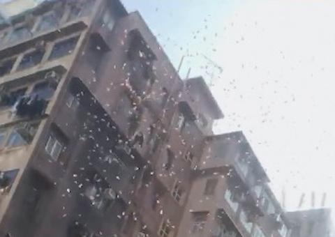 Polícia de Hong Kong prende homem que jogou fora dinheiro do alto de um prédio