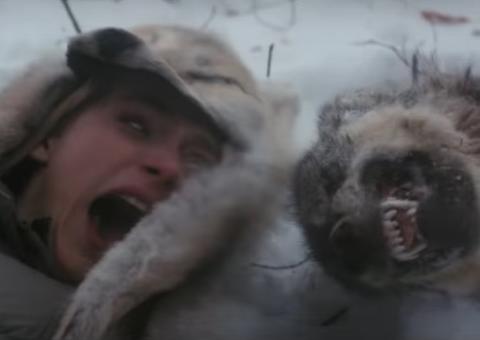 Urso polar ataca em trailer sangrento do terror A Fera 