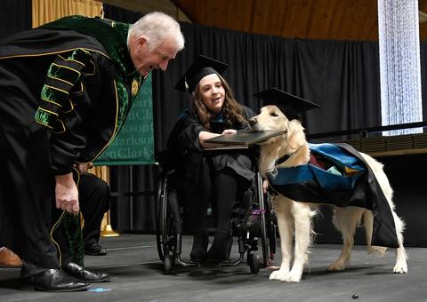 Cão recebe diploma por ajudar aluna cadeirante em universidade nos EUA