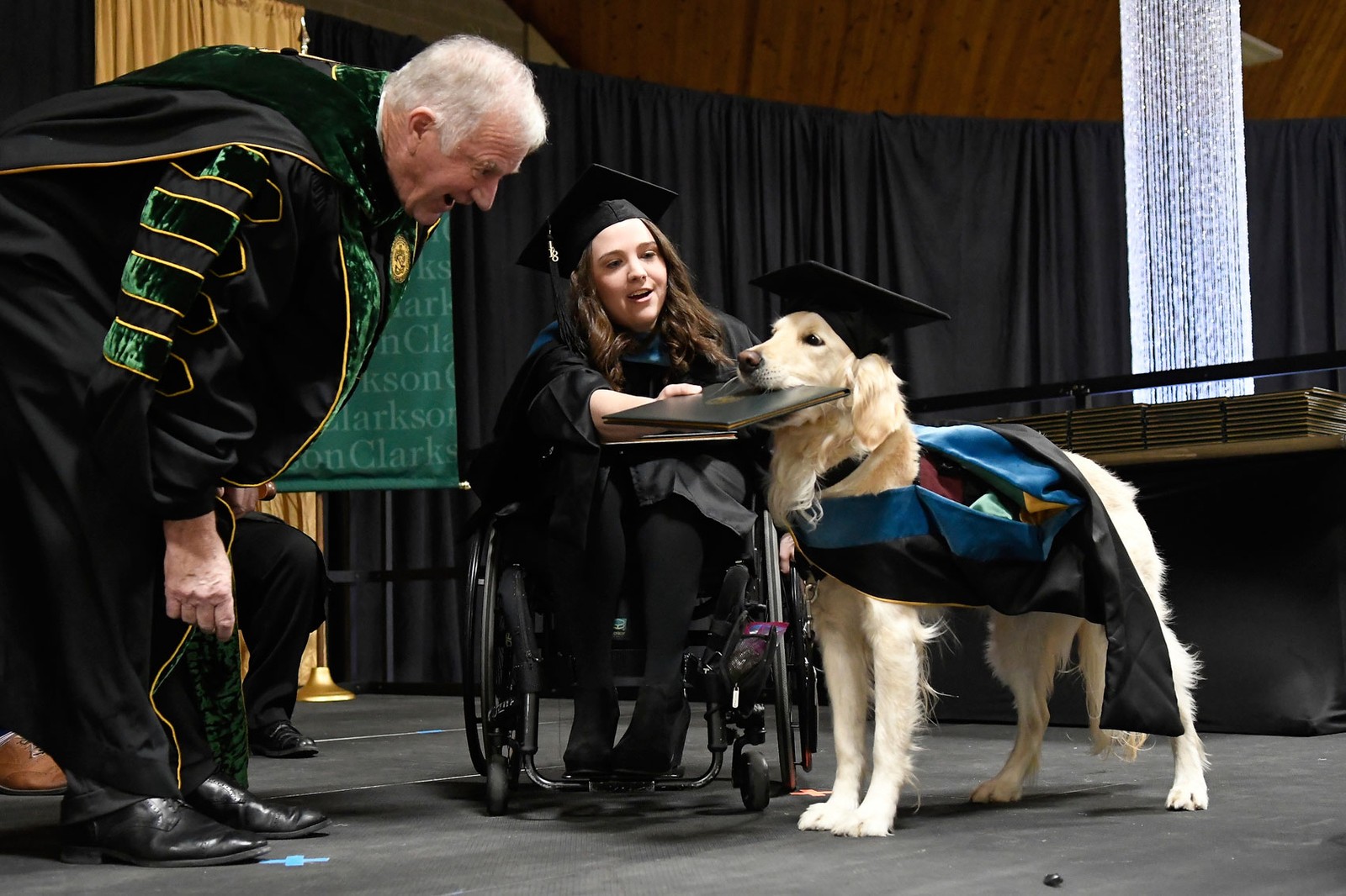 Cão recebe diploma por ajudar aluna cadeirante em universidade nos EUA