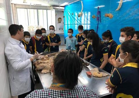 Feira de Anatomia com órgãos e esqueletos arrecada doações para vítimas de incêndio