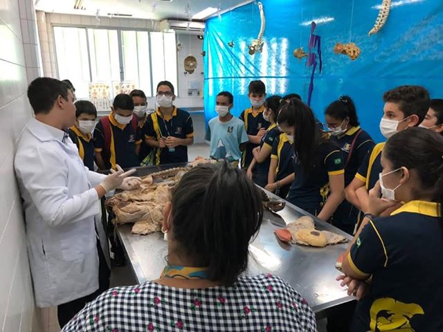 Feira de Anatomia com órgãos e esqueletos arrecada doações para vítimas de incêndio