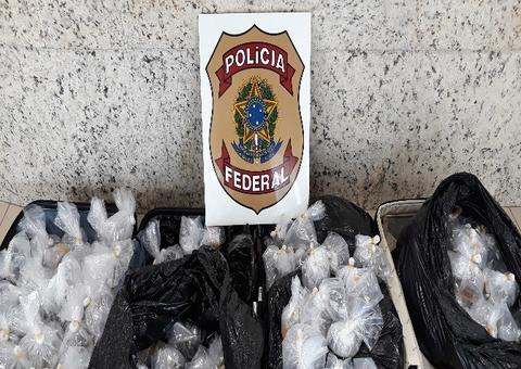 Polícia Federal prende mais de 100 pessoas durante operação no Amazonas 