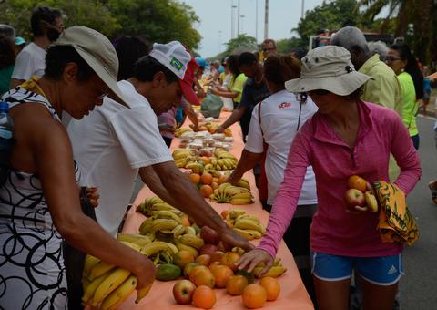 Campanha Natal sem Fome distribui 200 toneladas em cestas básicas