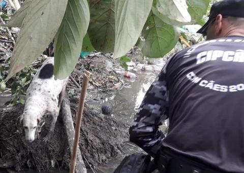   Enterrado em cova rasa, corpo de jovem foi arrastado por igarapé e rodeado por jacarés em Manaus