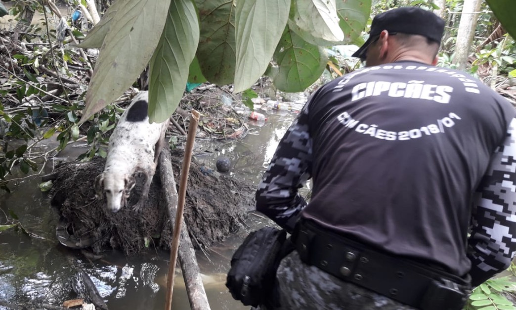  Enterrado em cova rasa, corpo de jovem foi arrastado por igarapé e rodeado por jacarés em Manaus