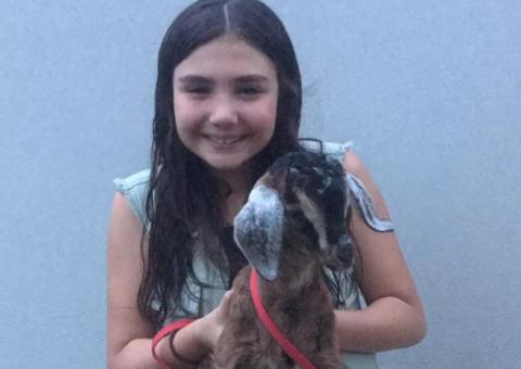 Menina pede unicórnio de Natal e se emociona com surpresa 'Melhor presente'