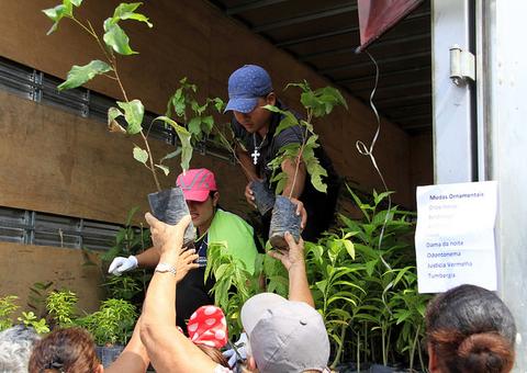 Último Pedágio Ambiental de 2018 vai distribuir mil mudas nesta quinta-feira