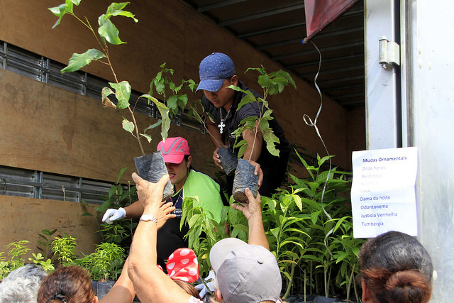 Último Pedágio Ambiental de 2018 vai distribuir mil mudas nesta quinta-feira