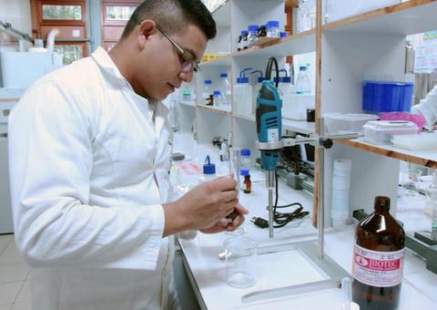 Pesquisadores da Ufam trabalham na produção de inseticida natural 