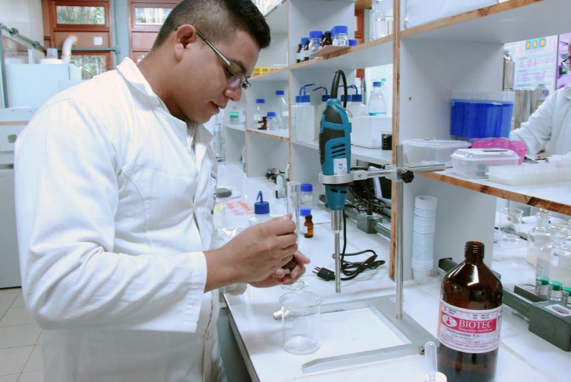 Pesquisadores da Ufam trabalham na produção de inseticida natural 