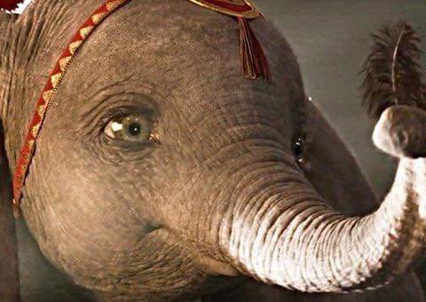 Live-action do Dumbo ganha comercial fofo. Vem ver