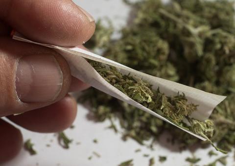 Saiba o impacto que fumar maconha pode causar no seu esperma