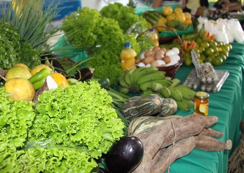 Prazo para credenciamento no Preme e Promove é prorrogado no Amazonas