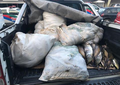 Meia tonelada de pescado ilegal é apreendida e doada para instituição de caridade