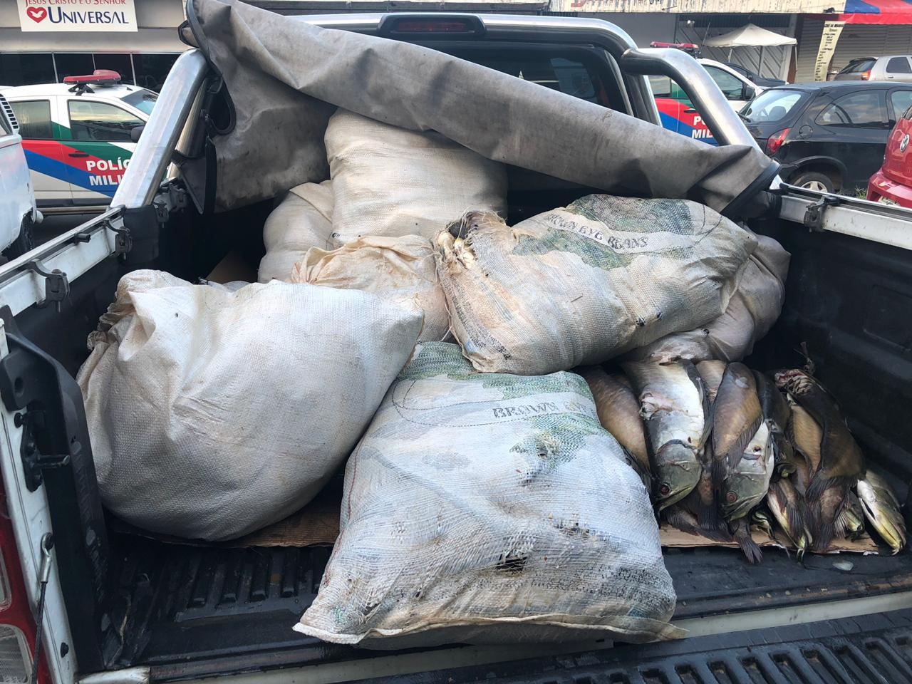 Meia tonelada de pescado ilegal é apreendida e doada para instituição de caridade