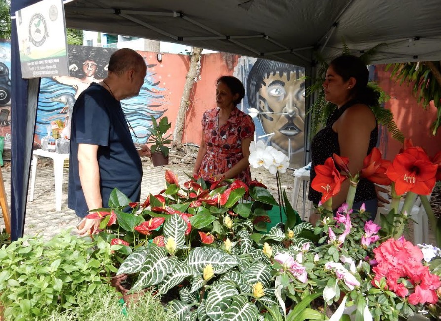 Primeira Feira da FAS de 2019 ocorre em fevereiro