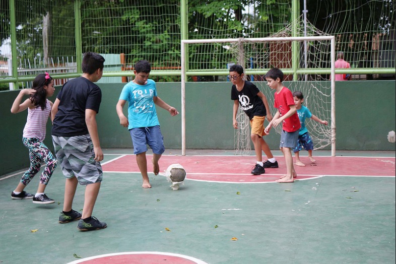 Brincadeiras e atividades dão início à programação de férias do Parque da Criança