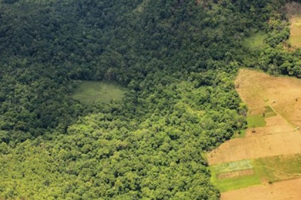 Justiça Federal determina paralisação de obras no ramal do Pau Rosa em Manaus 