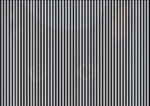 Imagem com ilusão de ótica enlouquece internautas e divide opiniões