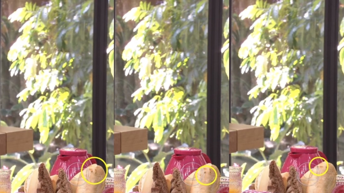 Mosca pousa na comida da substituta de Ana Maria Braga e gera revolta na Globo