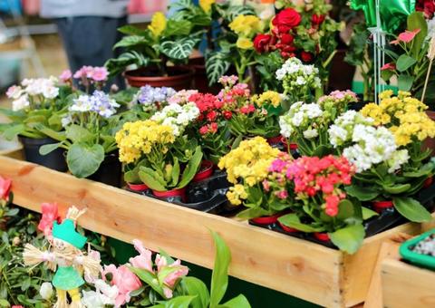 Feira da FAS abre inscrições para primeira edição do ano