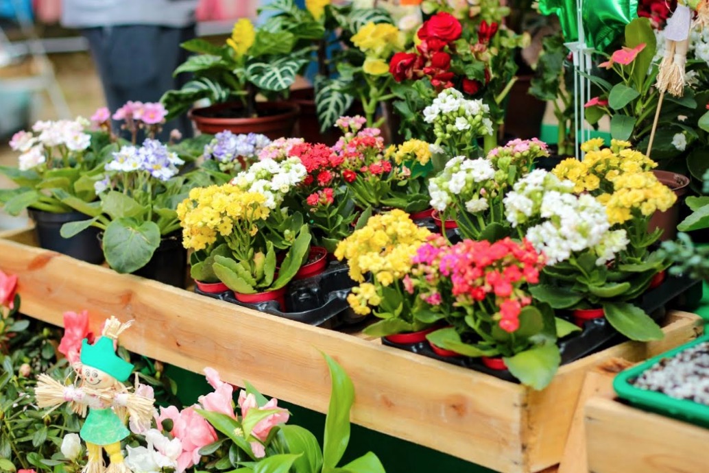 Feira da FAS abre inscrições para primeira edição do ano