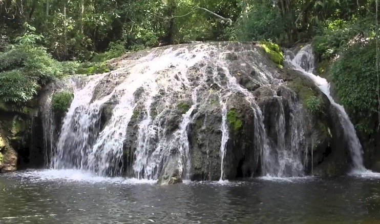 Aleam realiza compra de 200 cds com som das cachoeiras por R$ 4 mil