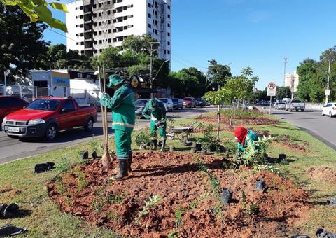 Jardins nos canteiros de avenida são ampliados em Manaus
