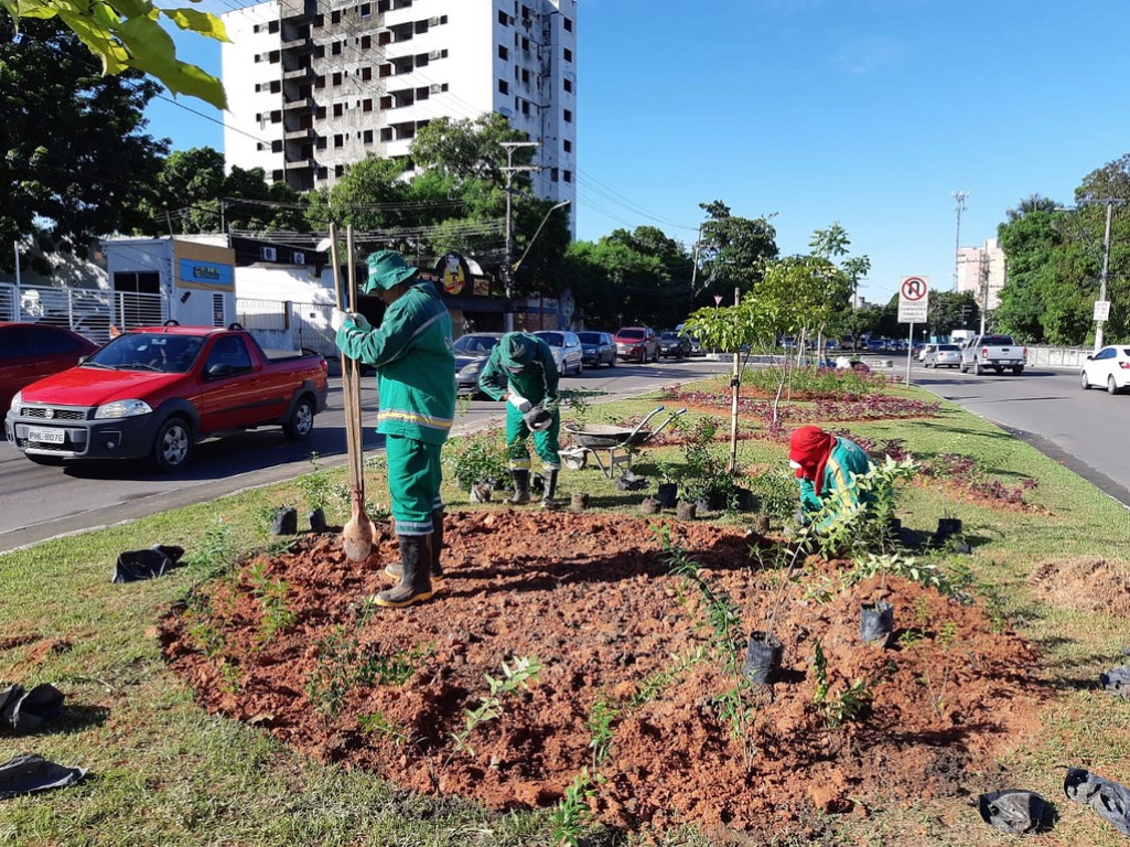 Jardins nos canteiros de avenida são ampliados em Manaus