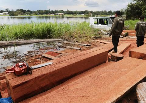 Operações contra crimes ambientais são realizadas no Amazonas