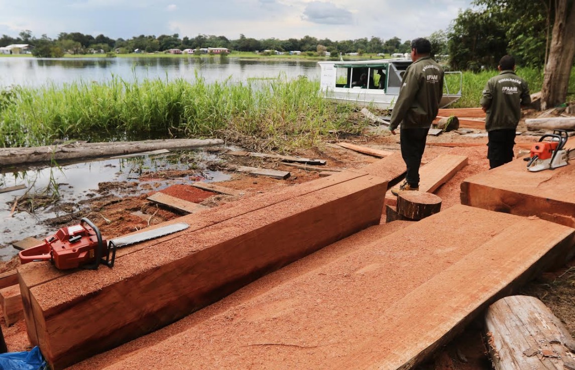 Operações contra crimes ambientais são realizadas no Amazonas