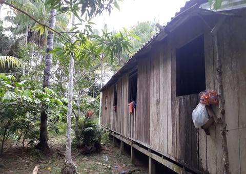 9 casos de ataque de morcego são registrados em comunidade rural de Manaus