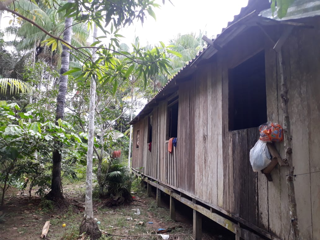 9 casos de ataque de morcego são registrados em comunidade rural de Manaus