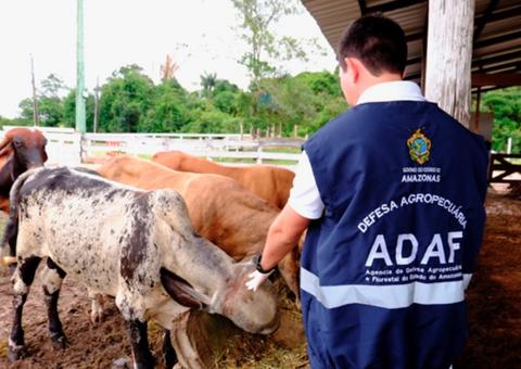 Adaf publica lista dos candidatos aptos para correção da prova discursiva do concurso