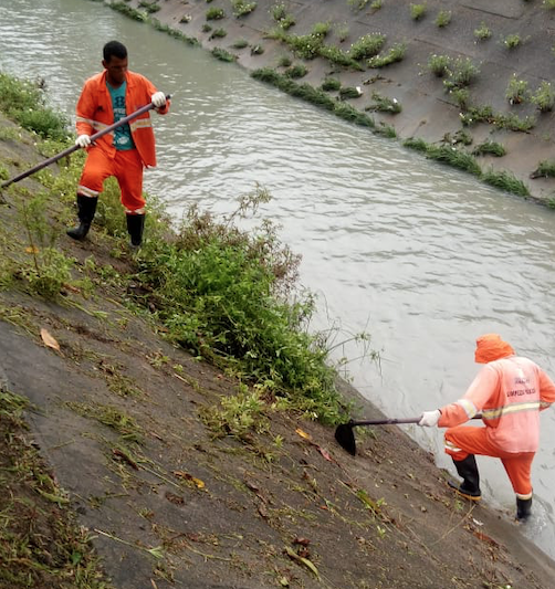 Mutirão de limpeza retira mais de 8 mil toneladas de lixo em igarapés de Manaus