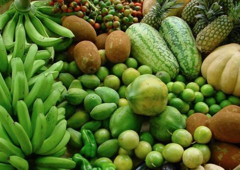 MPF recomenda que 30% da merenda escolar no Amazonas venha da agricultura familiar