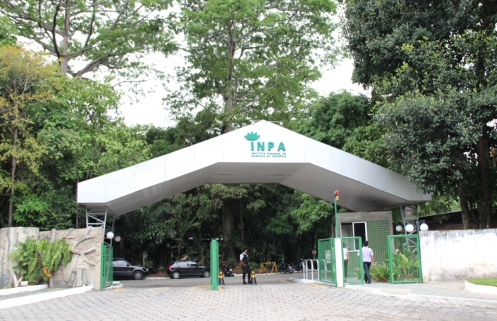 Inpa abre inscrições para programa com 48 vagas e bolsas de até R$ 5,2 mil