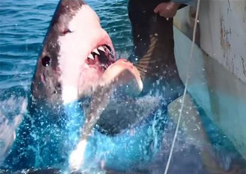 Medo Profundo 2 se passará no Brasil; filme ganha data de estreia 