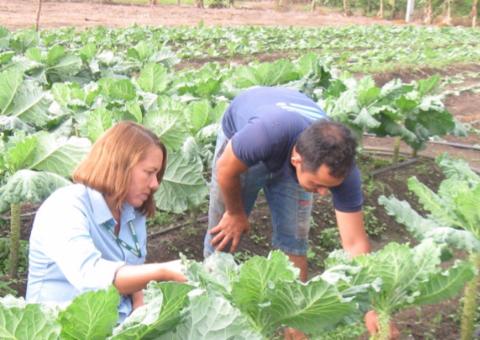 Inscrições para concurso do Idam com 227 vagas encerram nesta semana