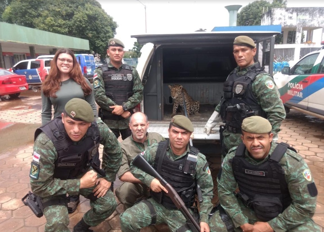 Mais de 300 animais silvestres foram resgatados ou apreendidos em 2018