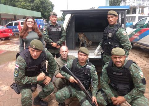 Polícia Ambiental resgata mais de 300 animais silvestres em 2018 