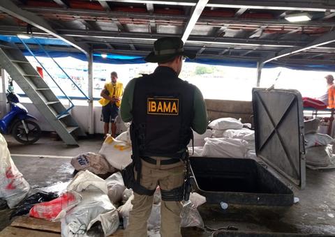 Polícia e Ibama apreendem 2 toneladas de pescado ilegal e carne de caça no Porto de Manaus