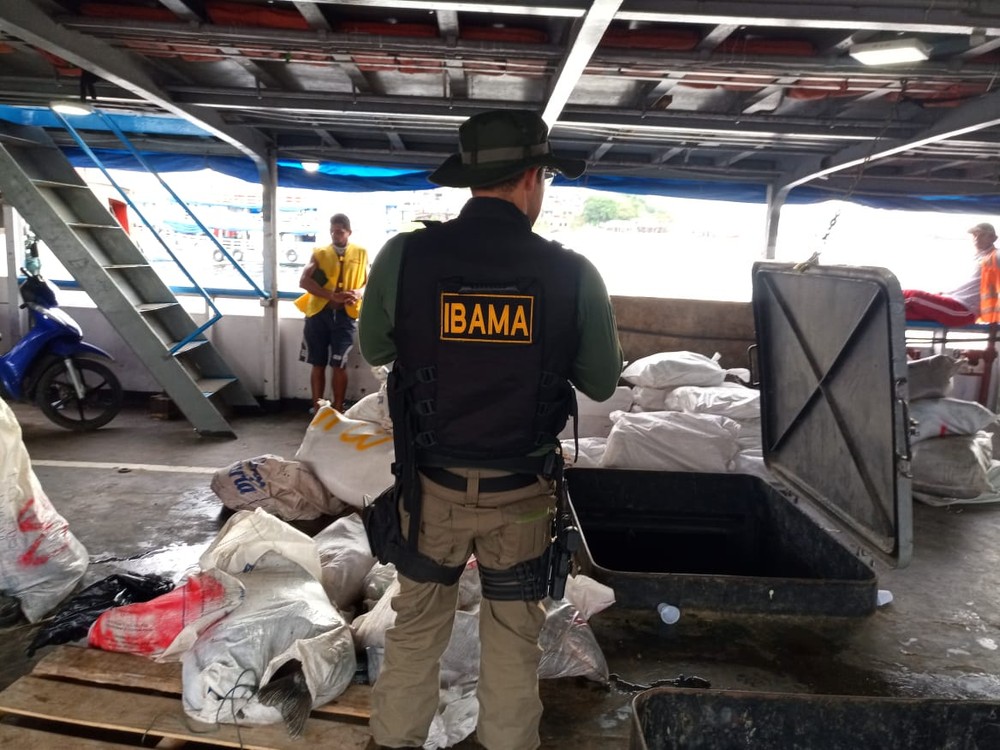 Polícia e Ibama apreendem 2 toneladas de pescado ilegal e carne de caça no Porto de Manaus